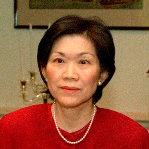 Chan Heng Chee