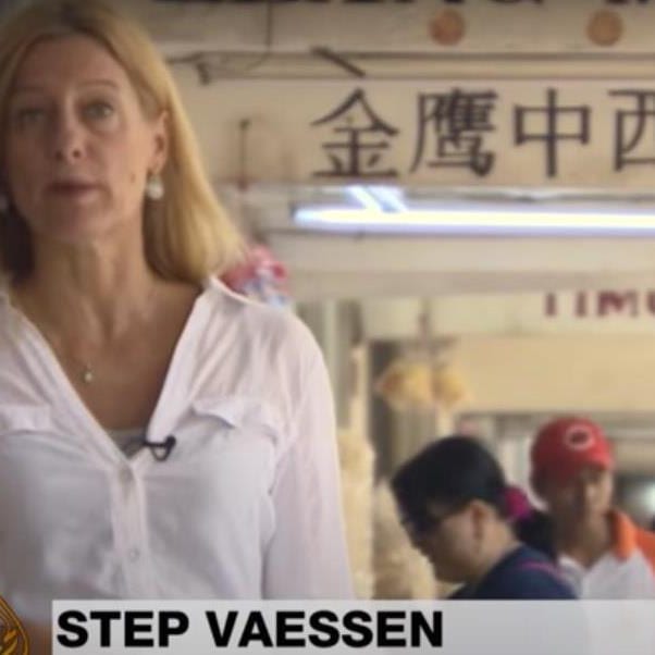 Step Vaessen